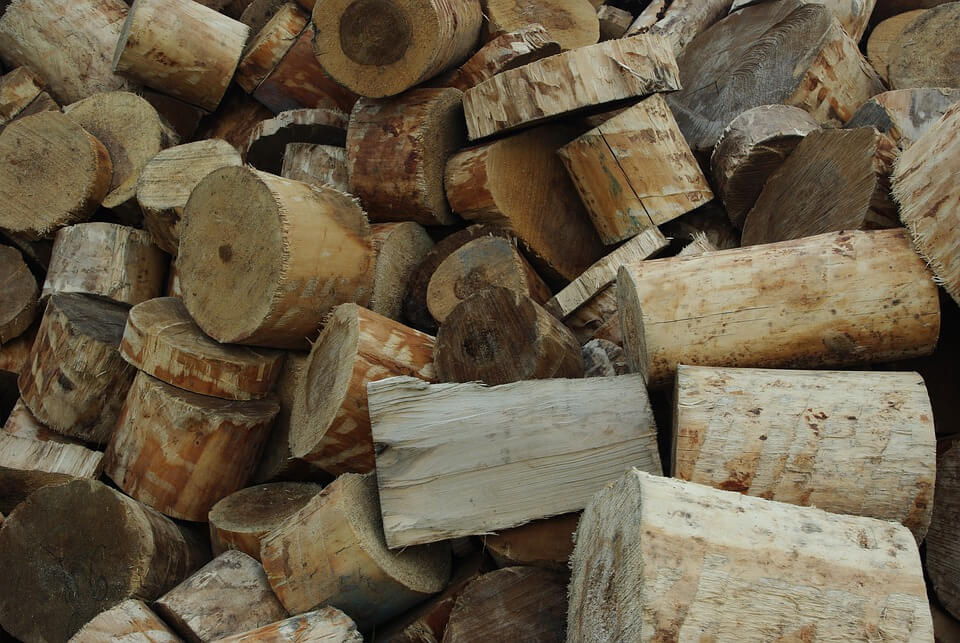 How Often To Add Wood To Smoker? An Ultimate Guide For BBQ Lovers